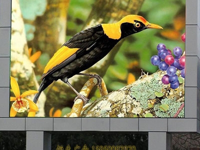 蘇州戶(hù)外P18全彩LED顯示屏